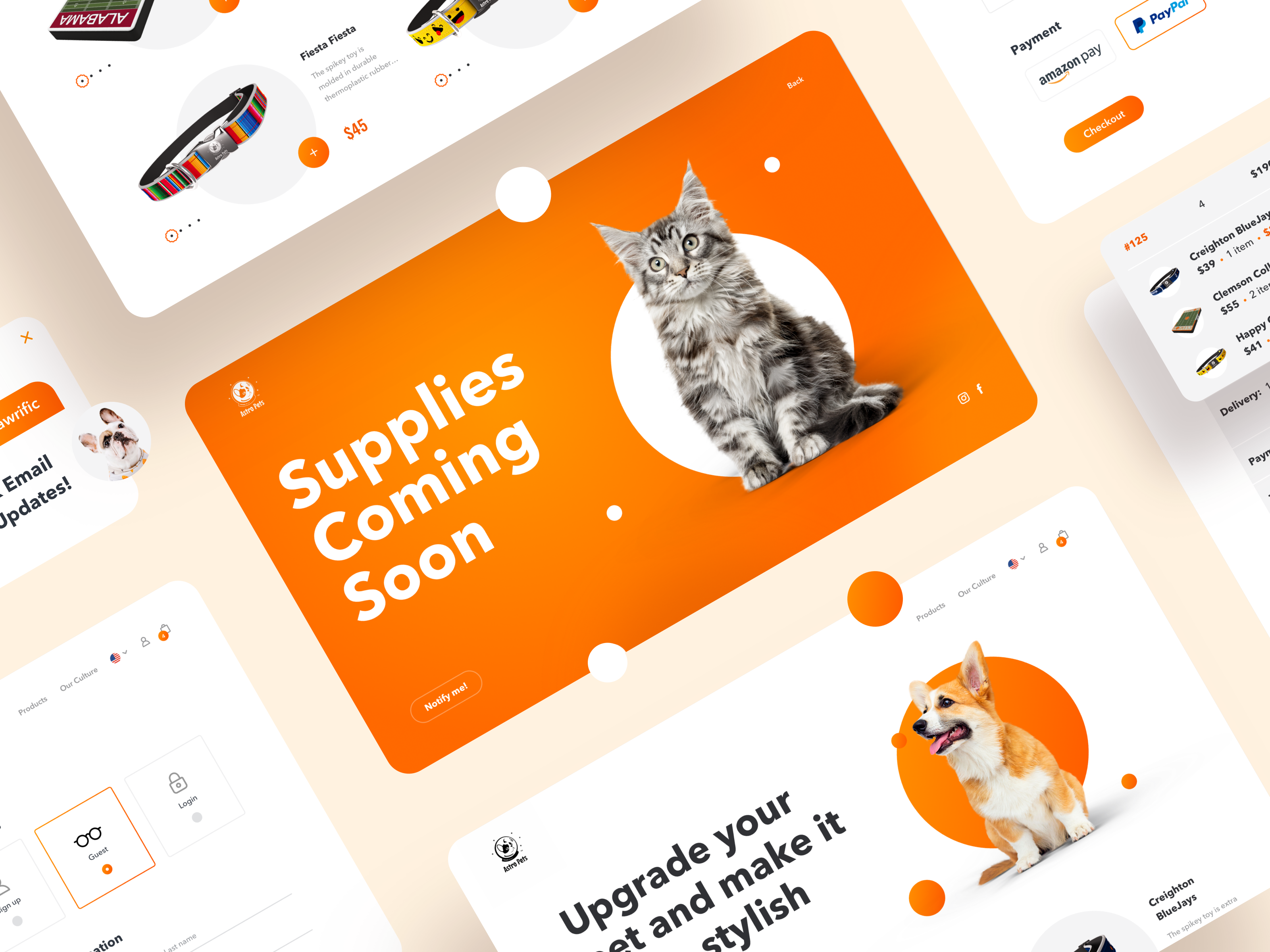Example of Website Design + Development 